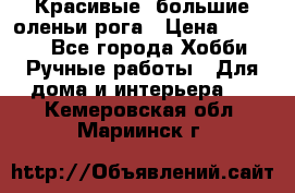 Красивые  большие оленьи рога › Цена ­ 3 000 - Все города Хобби. Ручные работы » Для дома и интерьера   . Кемеровская обл.,Мариинск г.